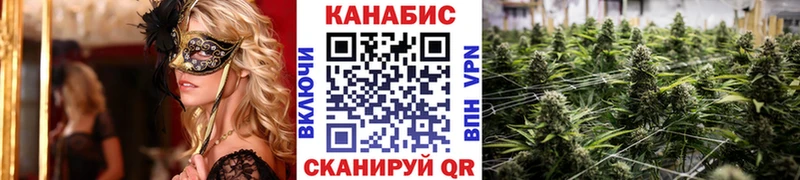 хочу наркоту  Котельнич  Конопля сатива 